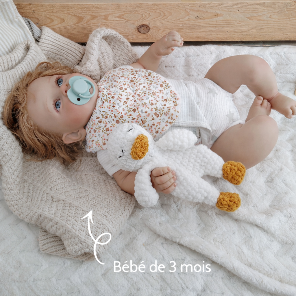 Tiny doudou plat oie