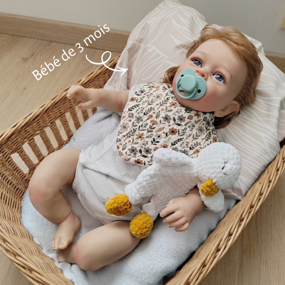 Tiny doudou plat oie
