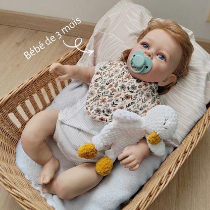 Tiny doudou plat oie