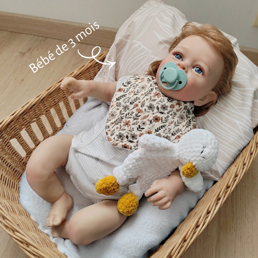 Tiny doudou plat oie